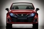 Seat Bocanegra 2008 года